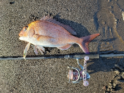 シーズン到来！サーフフィッシング