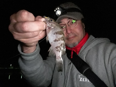 淡路島での用事を済ませて後・・・