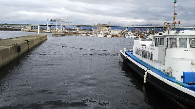 メバルさがし①