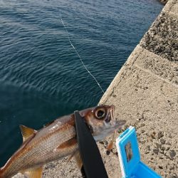 離島すげぇ(゚∀゚)