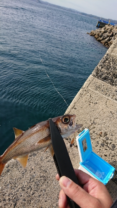 離島すげぇ(ﾟ∀ﾟ)