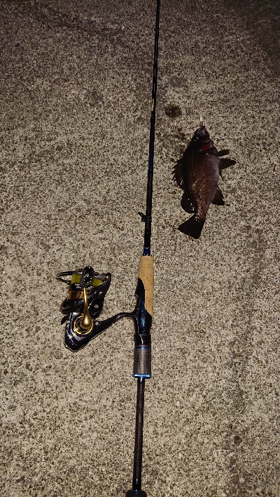 今日は厳しい。