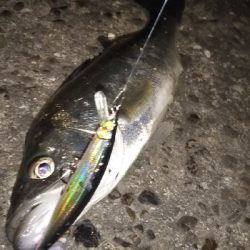 クリアウォーター