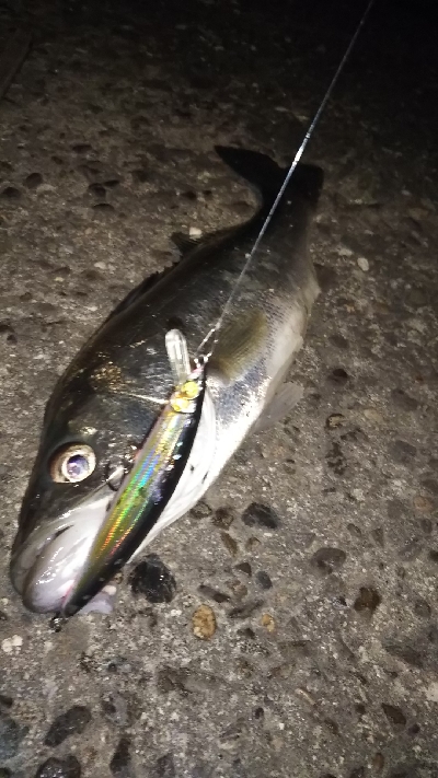 クリアウォーター