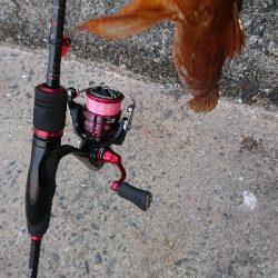 渋いとは分かってても