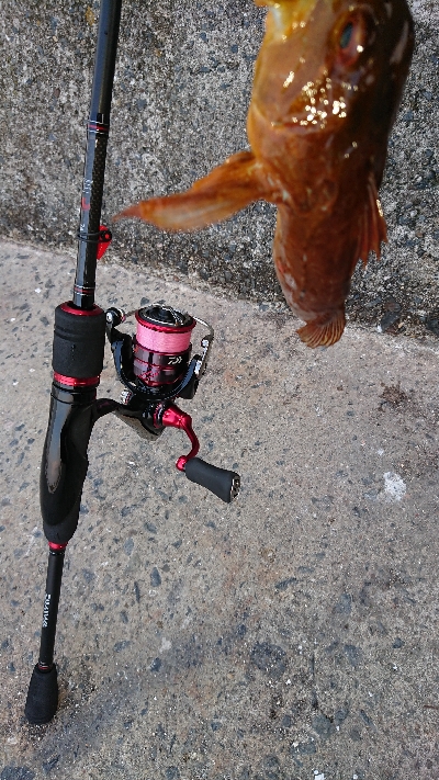 渋いとは分かってても