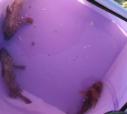 気温は高かったけど