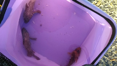 気温は高かったけど