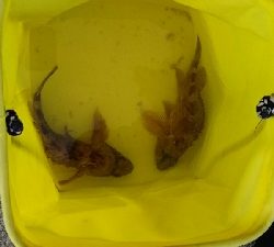 晴れてたけど寒かった