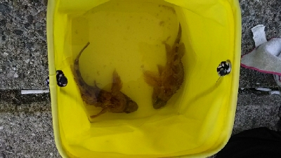 晴れてたけど寒かった