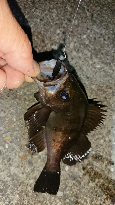 メバリング修行