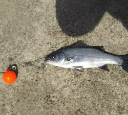 そうそううまくはいかない！