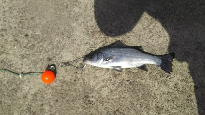 そうそううまくはいかない！