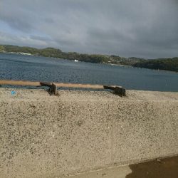 かなり久しぶりです。