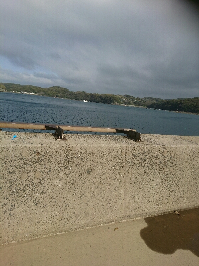 かなり久しぶりです。