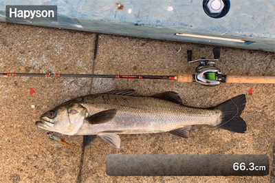 Beat the bad tide ！（悪…