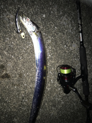 タチウオテンヤ