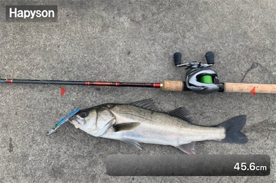 止水！ミラーシーバス！！