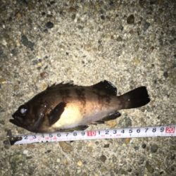 プラグできたー