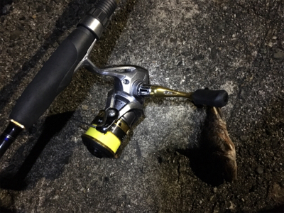 ライトゲーム遠征