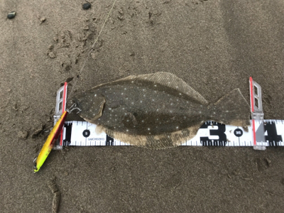 シーズン開幕？