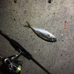 深夜ライトゲーム