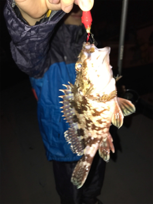 初通詞島ライトゲーム