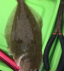 今年初釣りで新しいボートの進水式