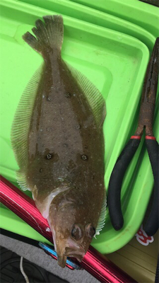 今年初釣りで新しいボートの進水式