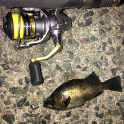 ナイトメバリング