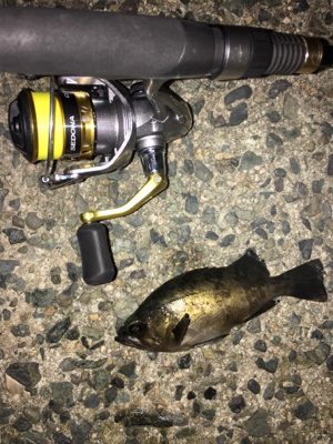 ナイトメバリング