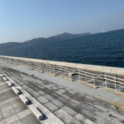 ギリギリせーふ?