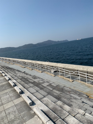 ギリギリせーふ?