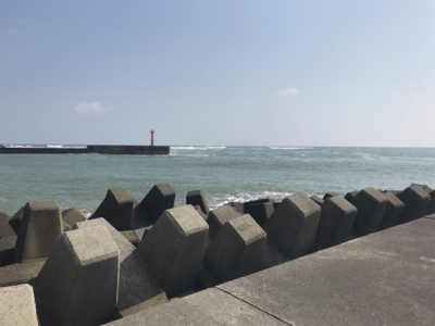 ドンコマンションにまさかの客人