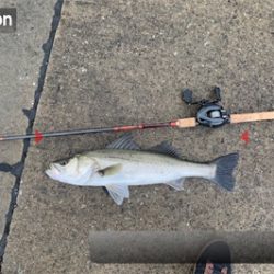 御利益フィーーーッシュ♫