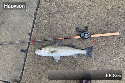 御利益フィーーーッシュ♫