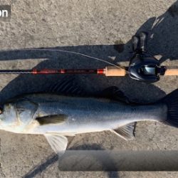 大潮３日目活性高し！？