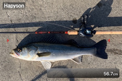 大潮３日目活性高し！？