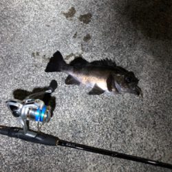 ナイトメバリング