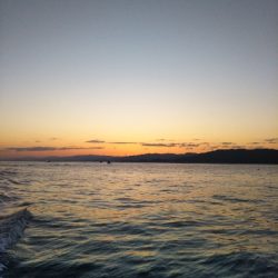 爆釣はつづく！