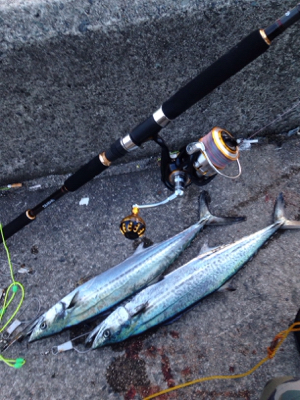 鳥山、ナブラ発生で‼︎