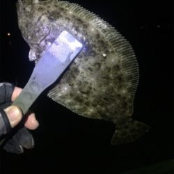 ナイトメバリング