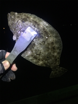 ナイトメバリング