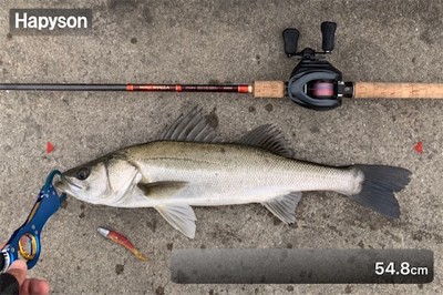 早春のマルチ湾奥シーバス♫