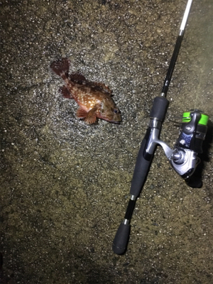 ガッシーのオンパレード