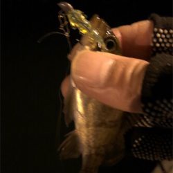 極小バイトをいかにフッキングに持ち込むか。