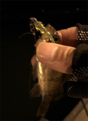 極小バイトをいかにフッキングに持ち込むか。