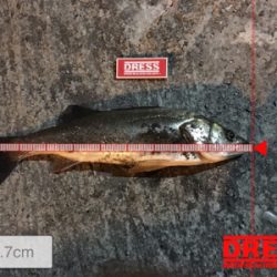 アミパターン??