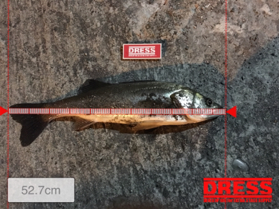 アミパターン??