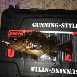 癒しのライトゲーム